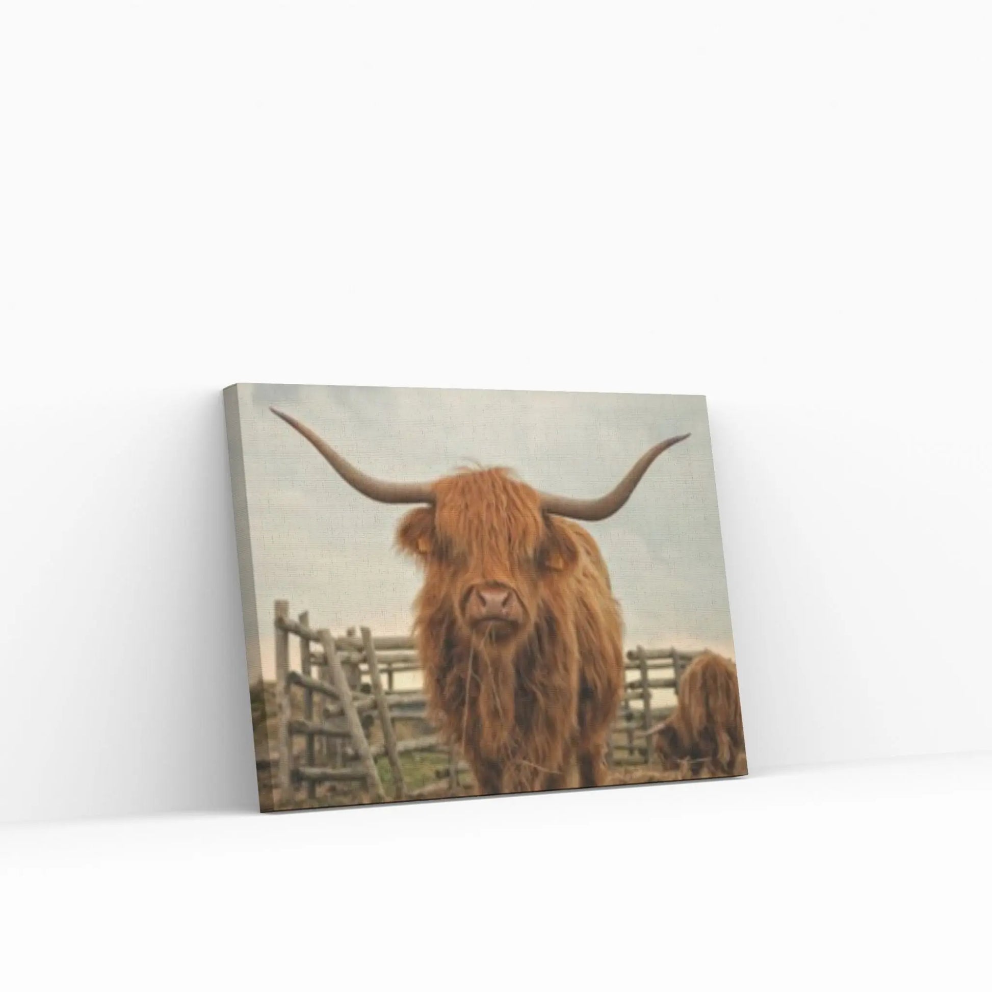 Highland Cow Wall Art | Highland Cow Animal Canvas Wall Art Poster Print Canvas - Y Canvas