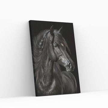 Beautiful Black Horse Canvas Wall Art , Animal Wall Art - Y Canvas