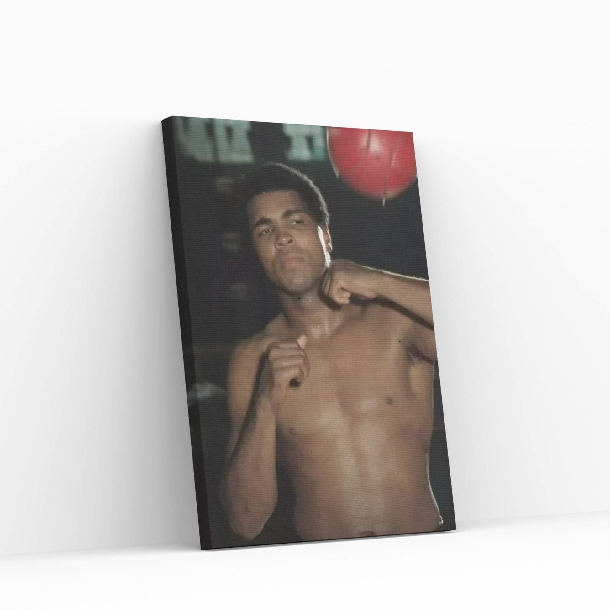 Speed Bag Work III Canvas Wall Art - Y Canvas