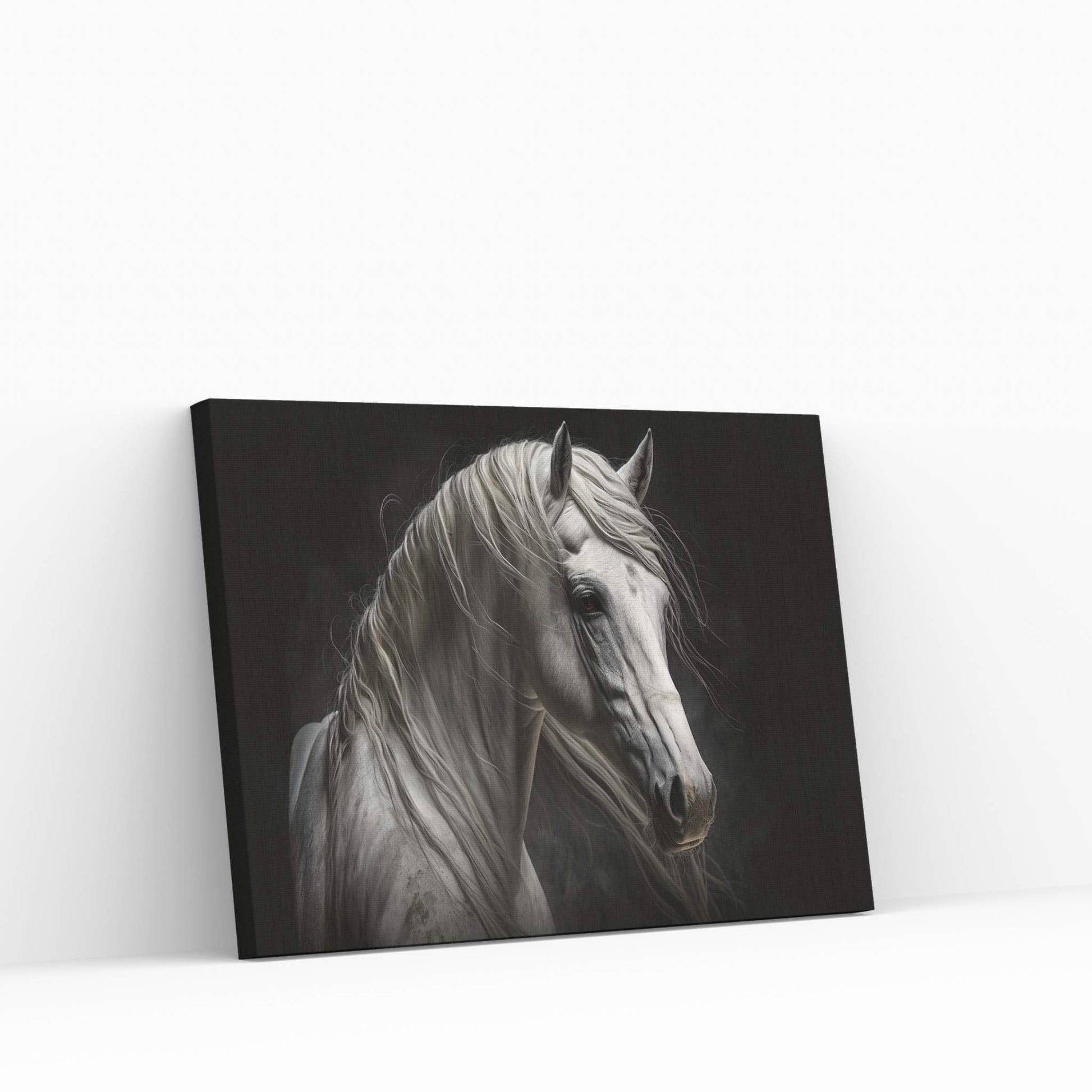 Beautiful White Horse Canvas Wall Art , Animal Wall Art - Y Canvas