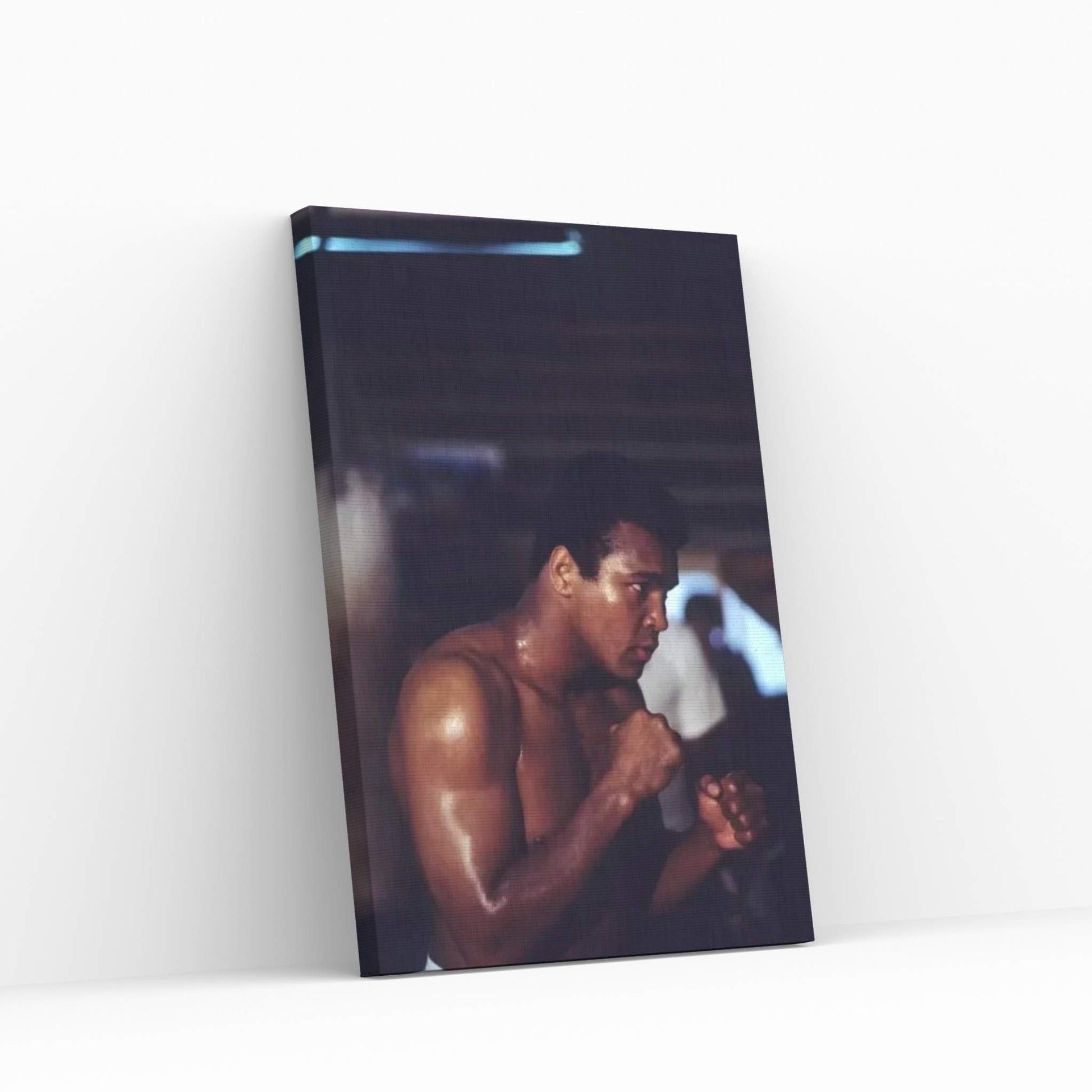 Shadow Boxing Session Canvas Wall Art - Y Canvas