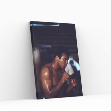 Shadow Boxing Session Canvas Wall Art - Y Canvas
