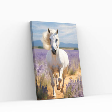 Beautiful White Horse Canvas Wall Art , Animal Wall Art - Y Canvas