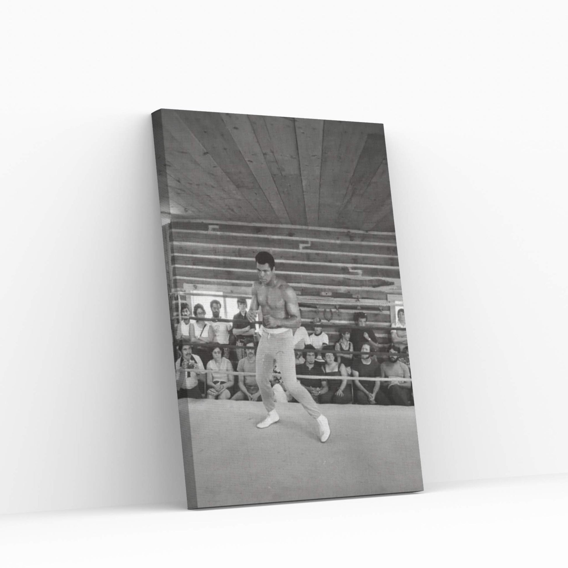 In-Ring Movement At Deer Lake I (Rumble In The Jungle™ Training Camp) Canvas Wall Art - Y Canvas