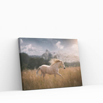 Beautiful White Horse Canvas Wall Art , Animal Wall Art - Y Canvas