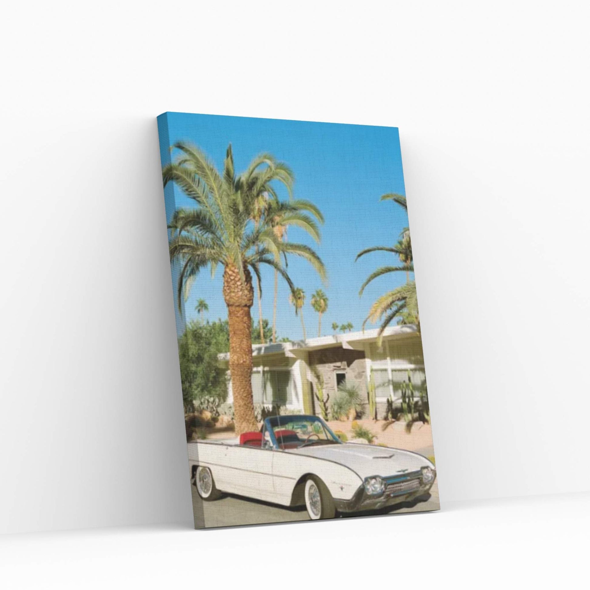 Palm Springs Thunderbird On Film Canvas Wall Art - Y Canvas