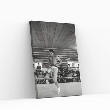 In-Ring Movement At Deer Lake II (Rumble In The Jungle™ Training Camp) Canvas Wall Art - Y Canvas