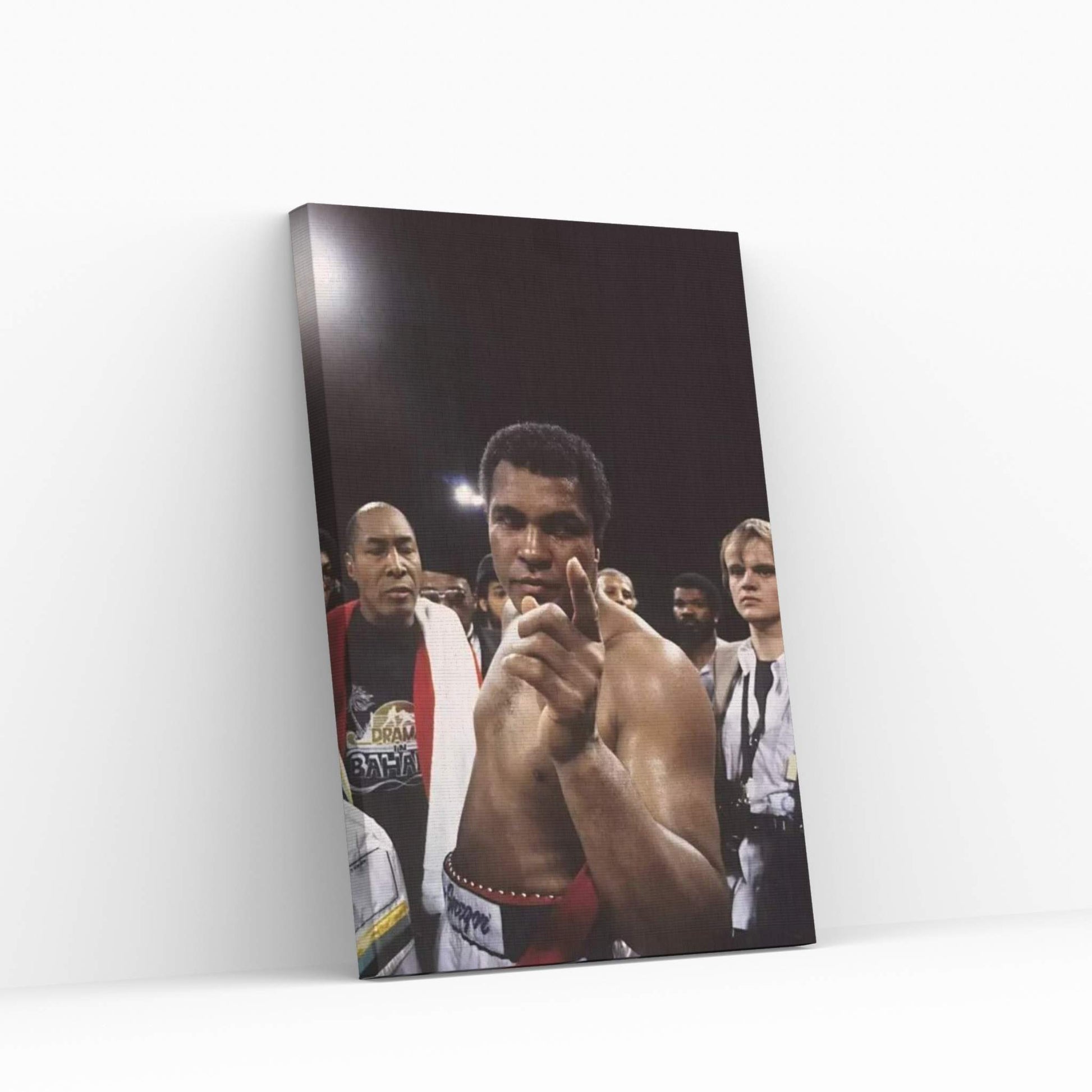 Post-Fight #1 Gesture, Drama In Bahama Canvas Wall Art - Y Canvas