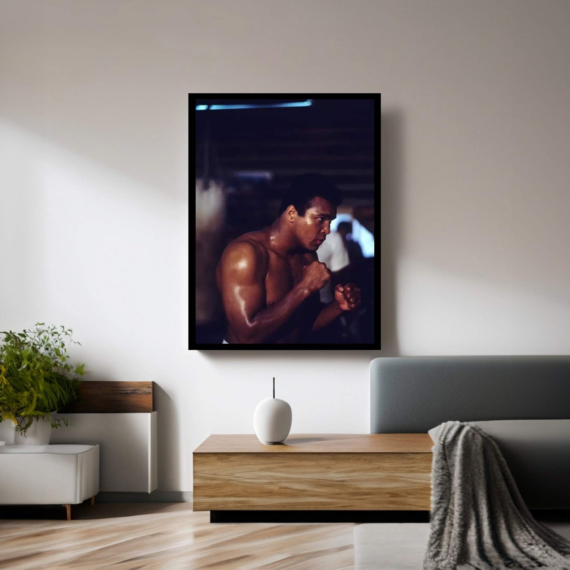 Shadow Boxing Session Canvas Wall Art - Y Canvas