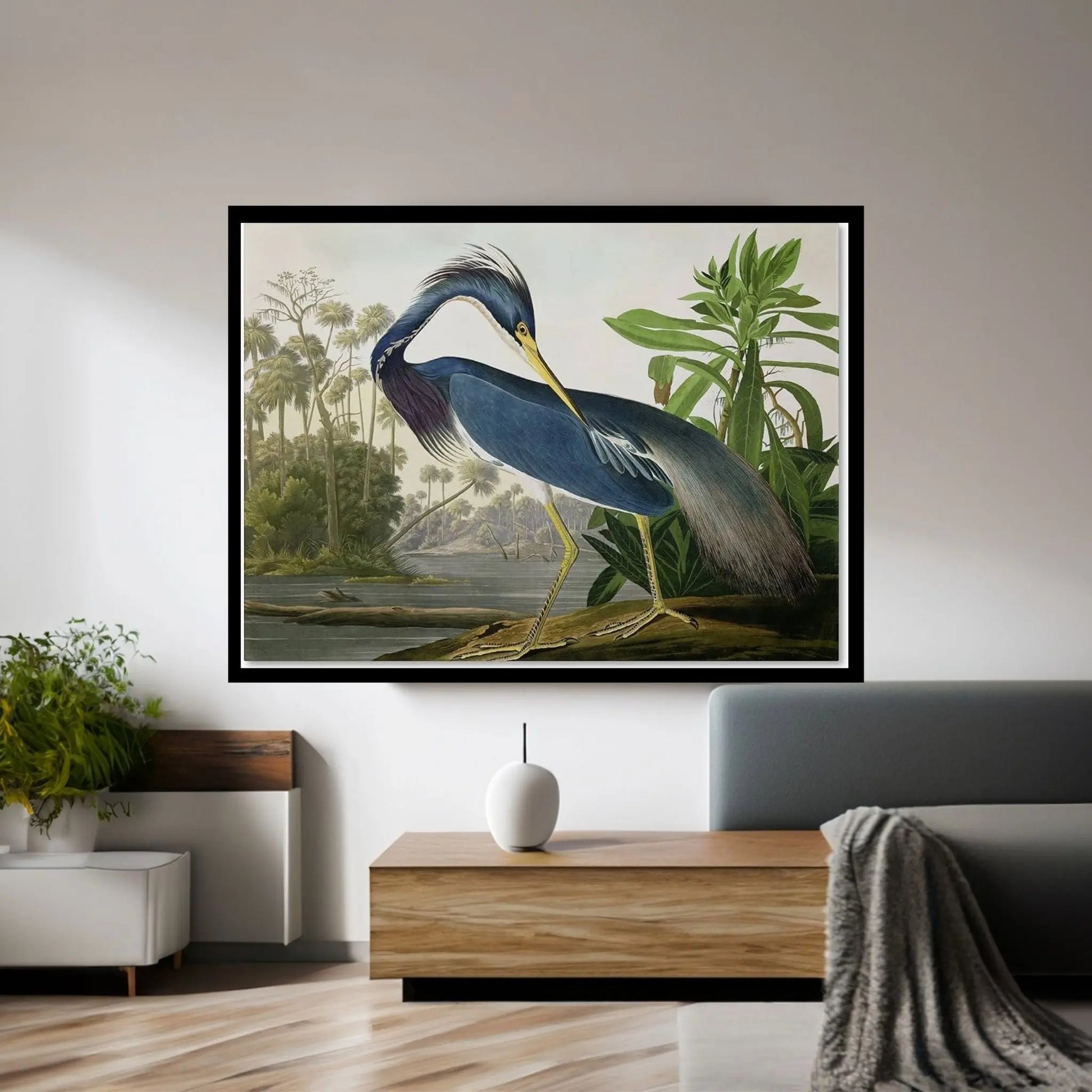 Louisiana Heron Canvas Wall Art - Y Canvas