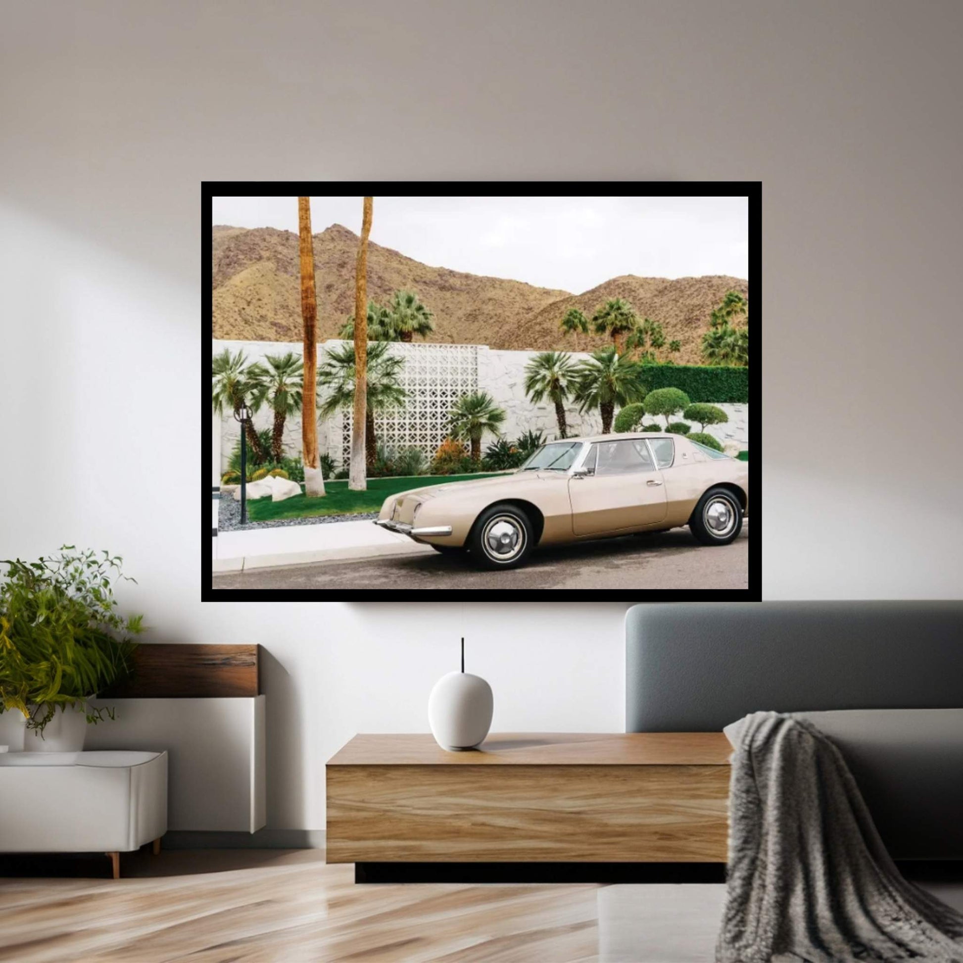 Palm Springs Ride III Canvas Wall Art - Y Canvas