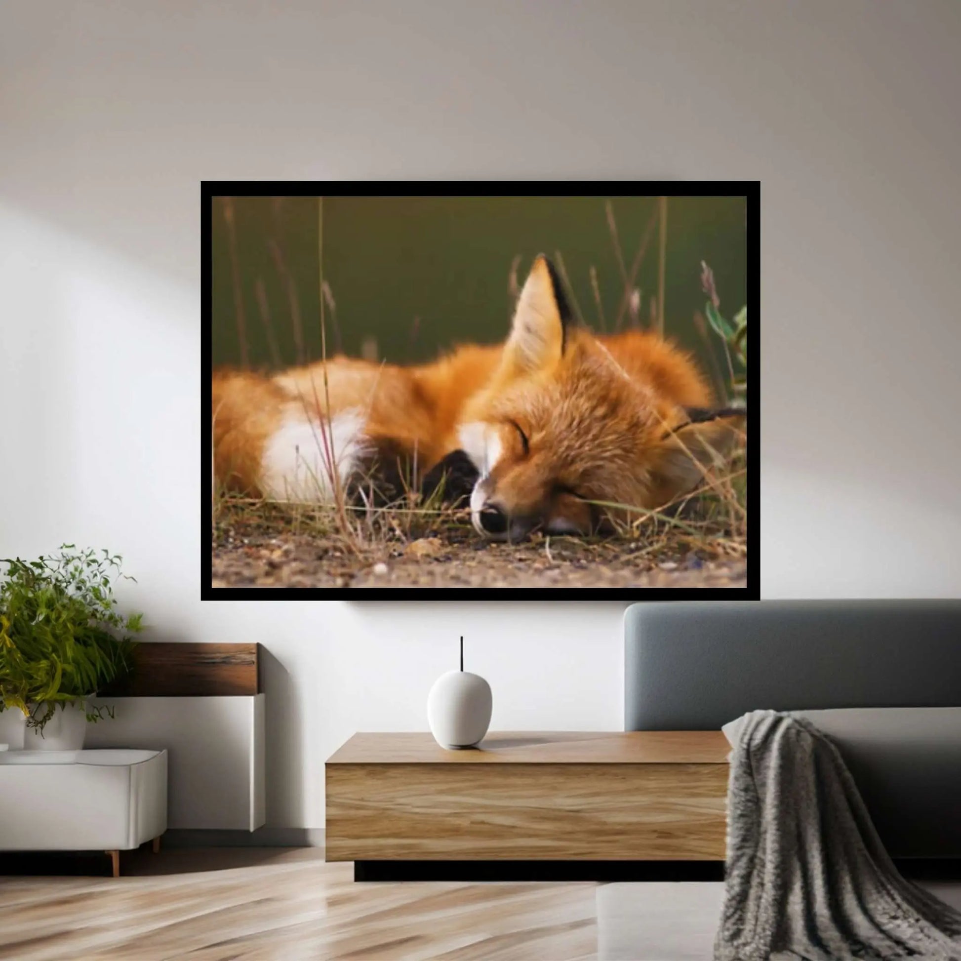 Sleeping fox Canvas Wall Art Design Animal Canvas Wall Art - Y Canvas