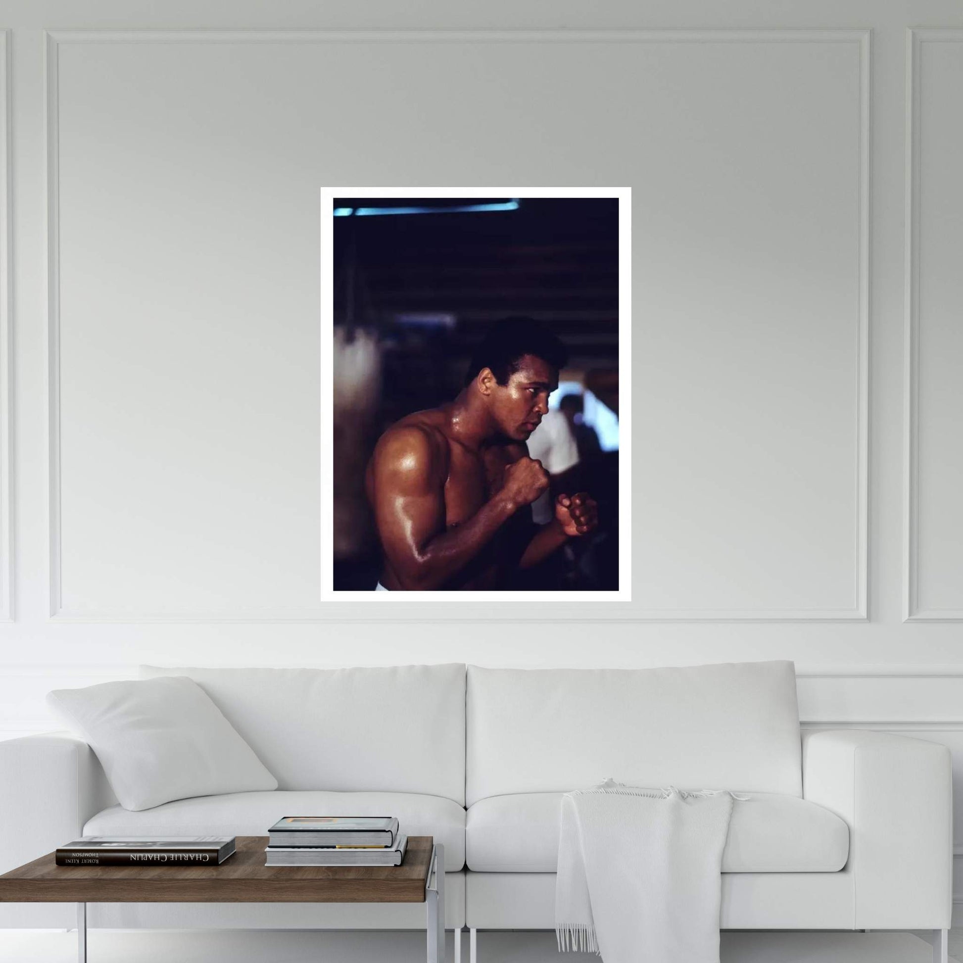 Shadow Boxing Session Canvas Wall Art - Y Canvas