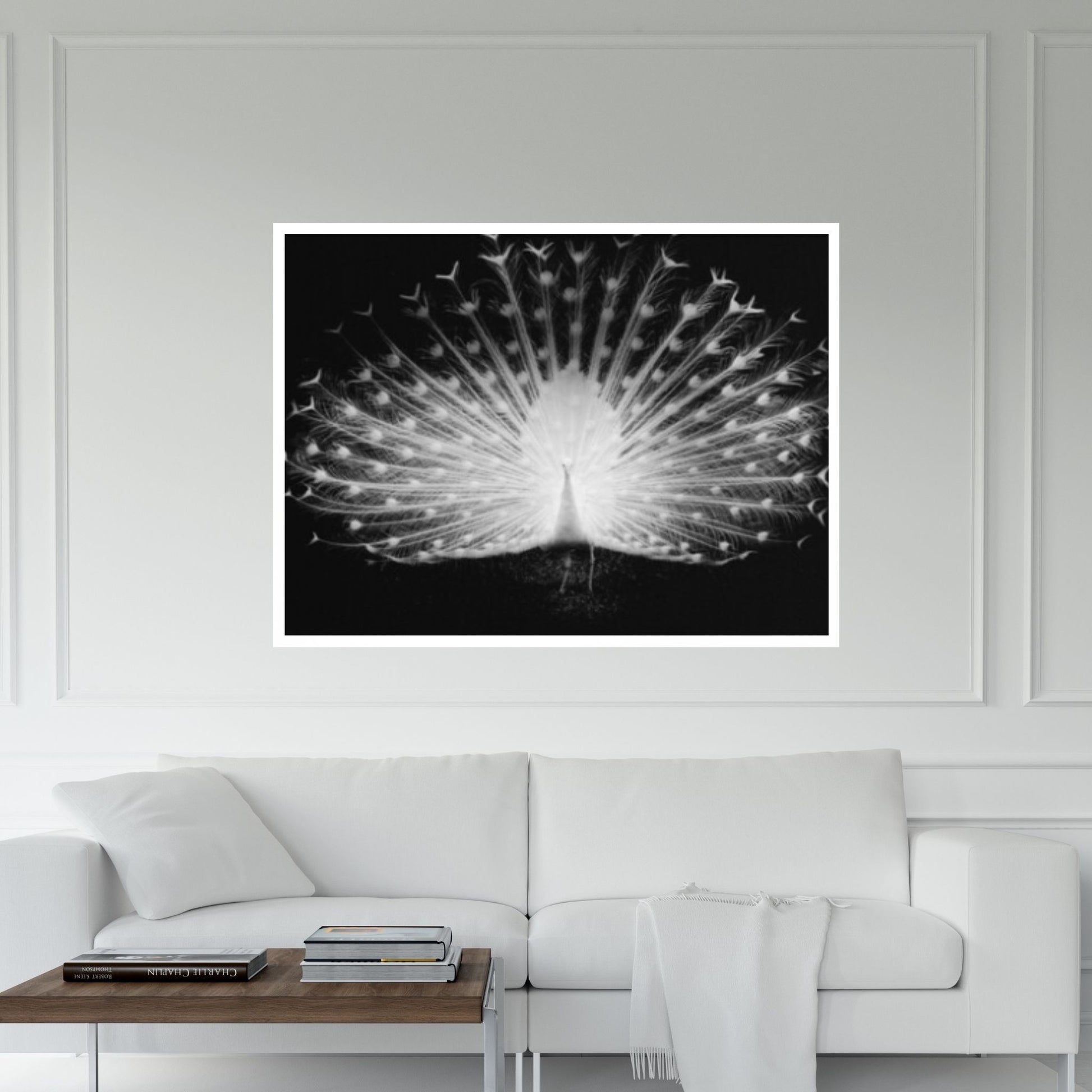 Peacock Black - White on Canvas, Office Decor Wall Art - Y Canvas