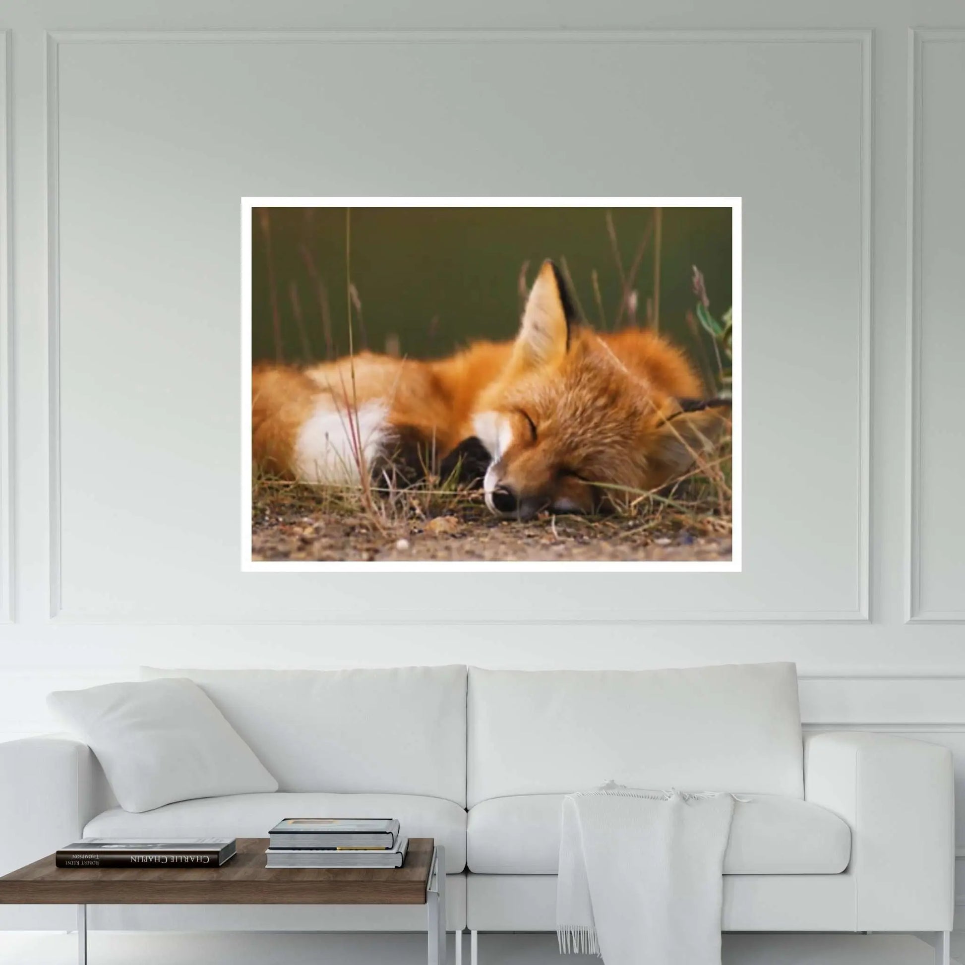 Sleeping fox Canvas Wall Art Design Animal Canvas Wall Art - Y Canvas