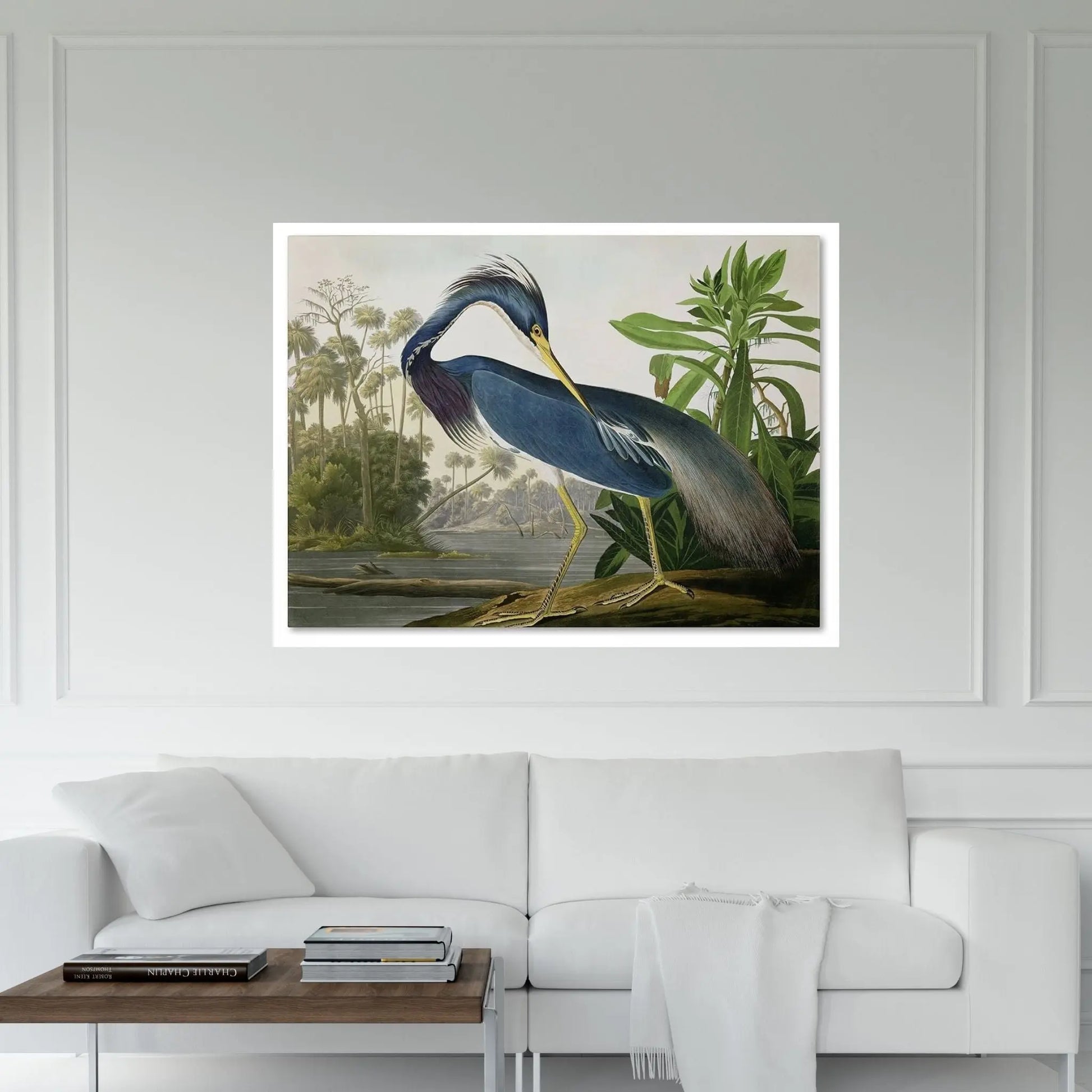 Louisiana Heron Canvas Wall Art - Y Canvas