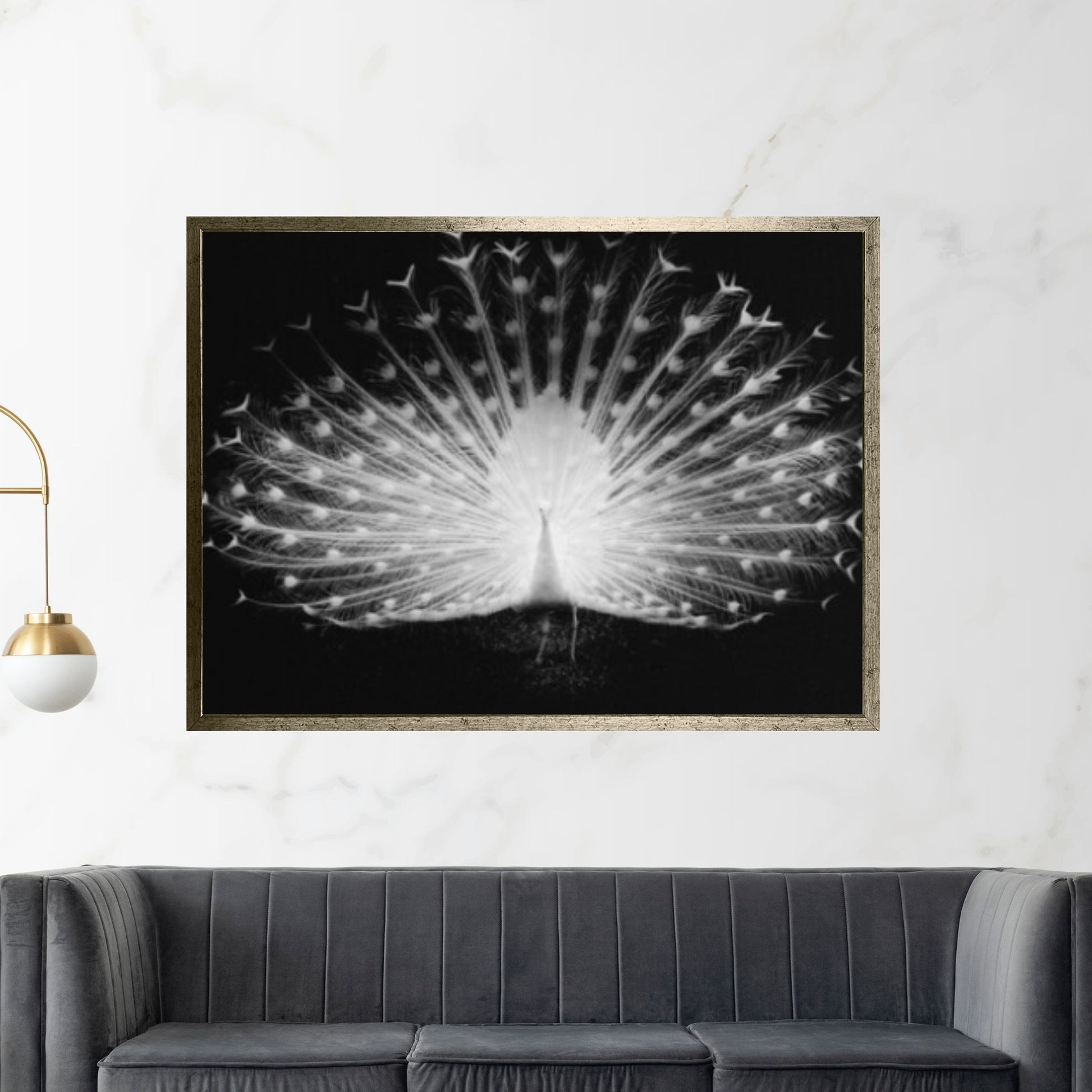 Peacock Black - White on Canvas, Office Decor Wall Art - Y Canvas