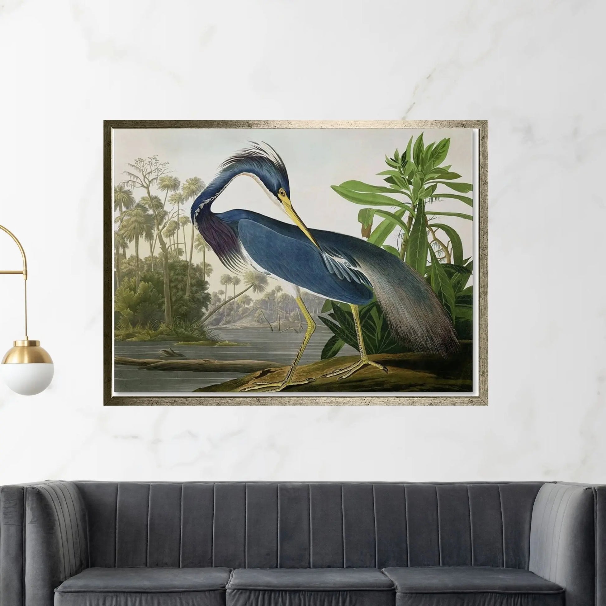 Louisiana Heron Canvas Wall Art - Y Canvas