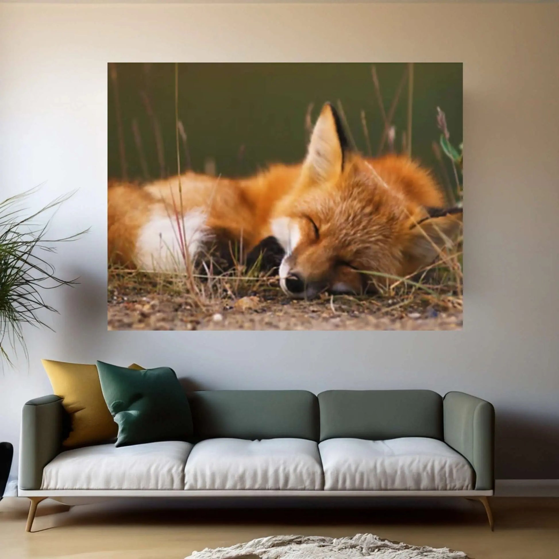 Sleeping fox Canvas Wall Art Design Animal Canvas Wall Art - Y Canvas