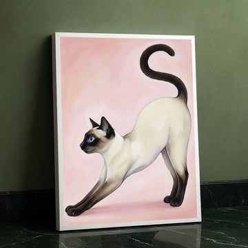 Graceful Siamese Cat Stretching On Pink Canvas Wall Art