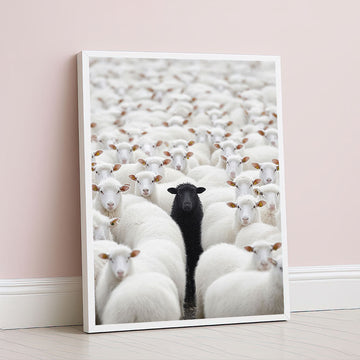 Striking Black Sheep Among White Flock Canvas Wall Art