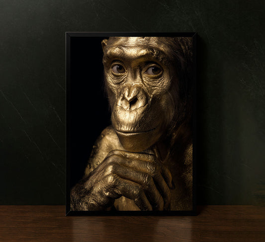 Golden Chimpanzee Portrait In Black Canvas Wall Art