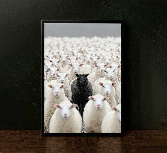 Unique Black Sheep Among White Flock Canvas Wall Art
