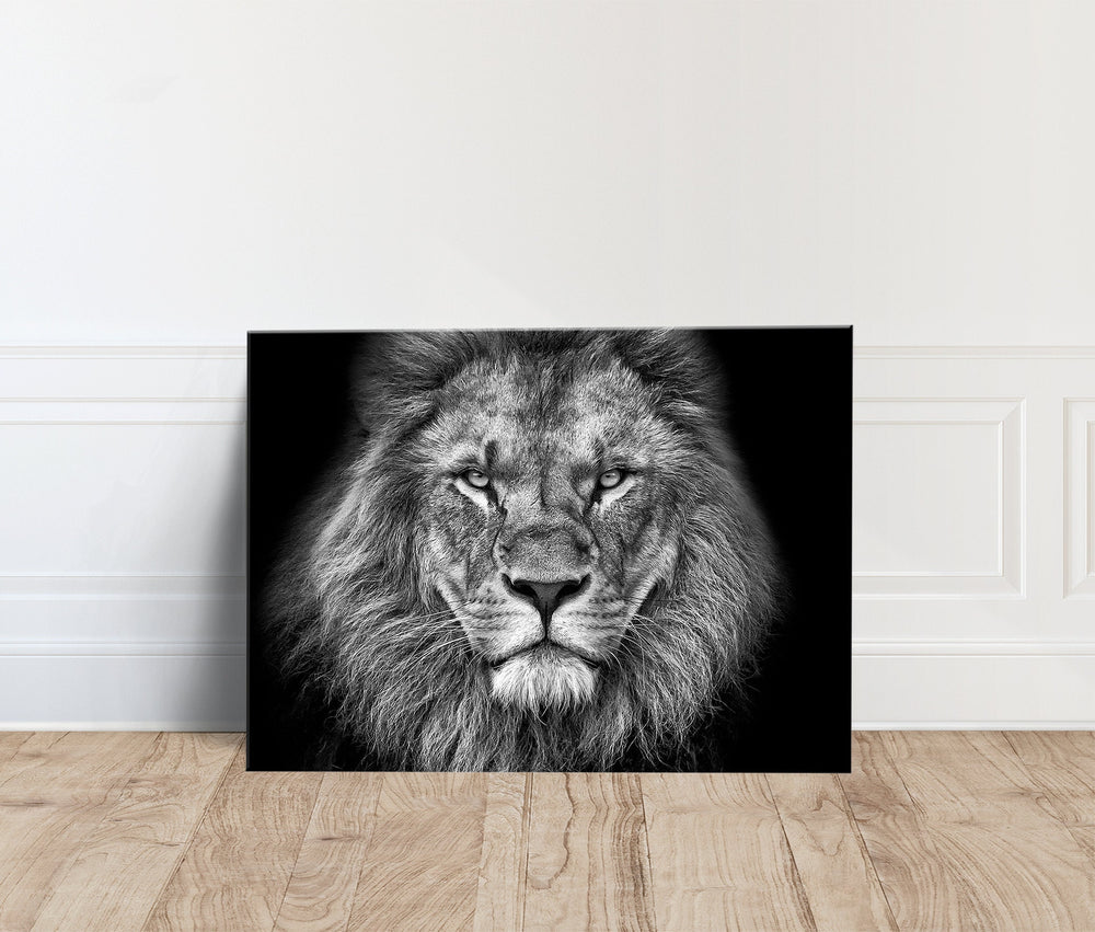 Lion Canvas Print, Black and White Animal Wall Art