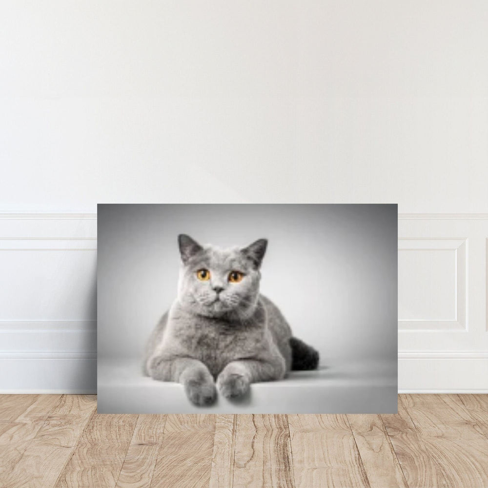 Grey Cat Portrait, Ready to Hang Canvas Wall Art