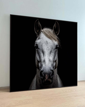 White Horse Portrait, Elegant Equine Wall Art, Black Background Horse Photography, Animal Decor, Minimalist Horse Artwork, Ready to Hang
