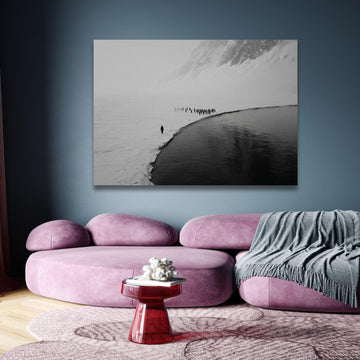 Penguin Colony on Ice Edge Canvas, Arctic Wildlife Wall Art, Black and White Nature Photography, wall decoration, canvas print, wall art