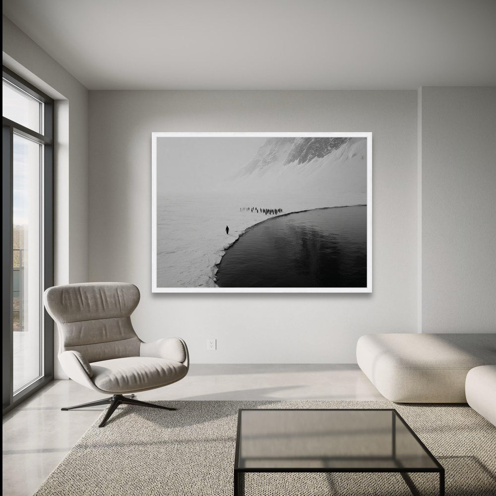 Penguin Colony on Ice Edge Canvas, Arctic Wildlife Wall Art, Black and White Nature Photography, wall decoration, canvas print, wall art