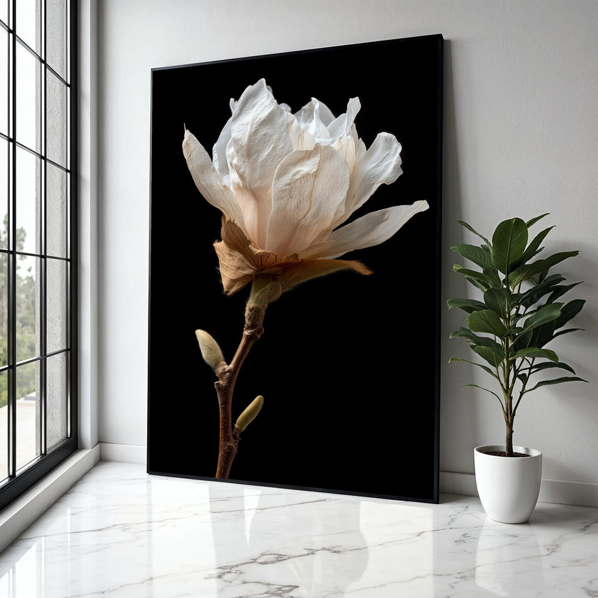 Delicate White Magnolia Bloom Canvas, Botanical Wall Art, Floral Close-Up Canvas, Nature Photography Print, Gift Art, Home Decor, Print