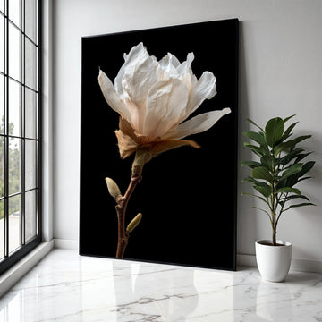 Delicate White Magnolia Bloom Canvas, Botanical Wall Art, Floral Close-Up Canvas, Nature Photography Print, Gift Art, Home Decor, Print