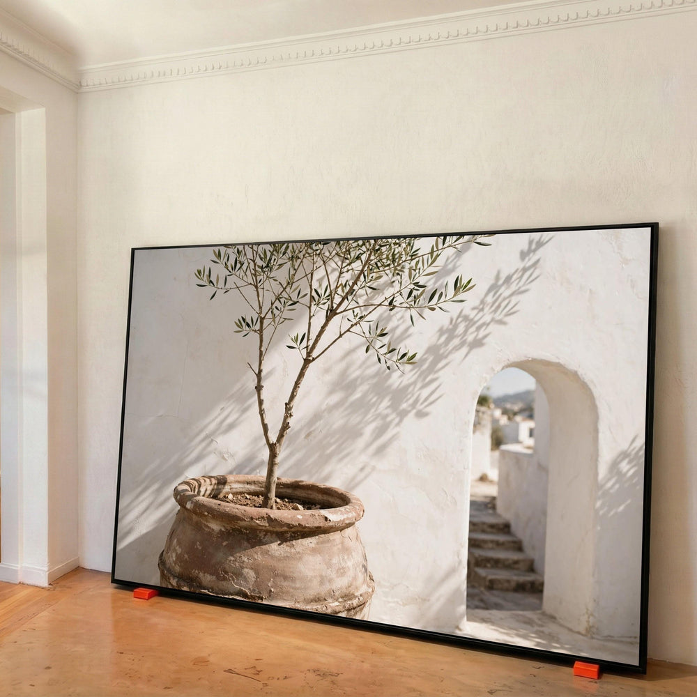 Canvas Wall Art Mediterranean Olive Tree Rustic Terracotta Pot with White Stucco Archway Print Art