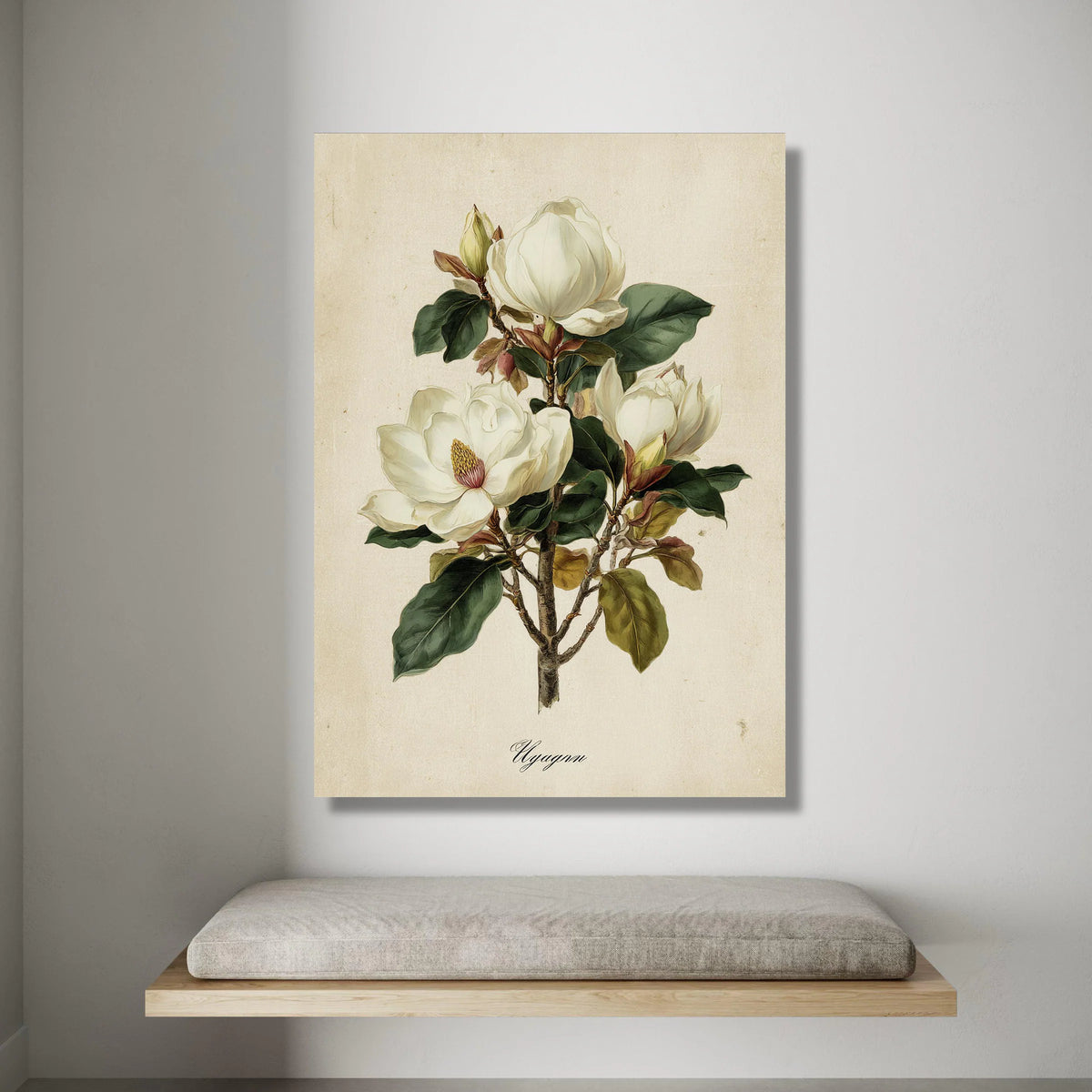 Magnolia Flower Illustration Canvas, Vintage Botanical Wall Art, Floral Canvas Print, White Bloom Decor, Nature Plant Canvas Print Art